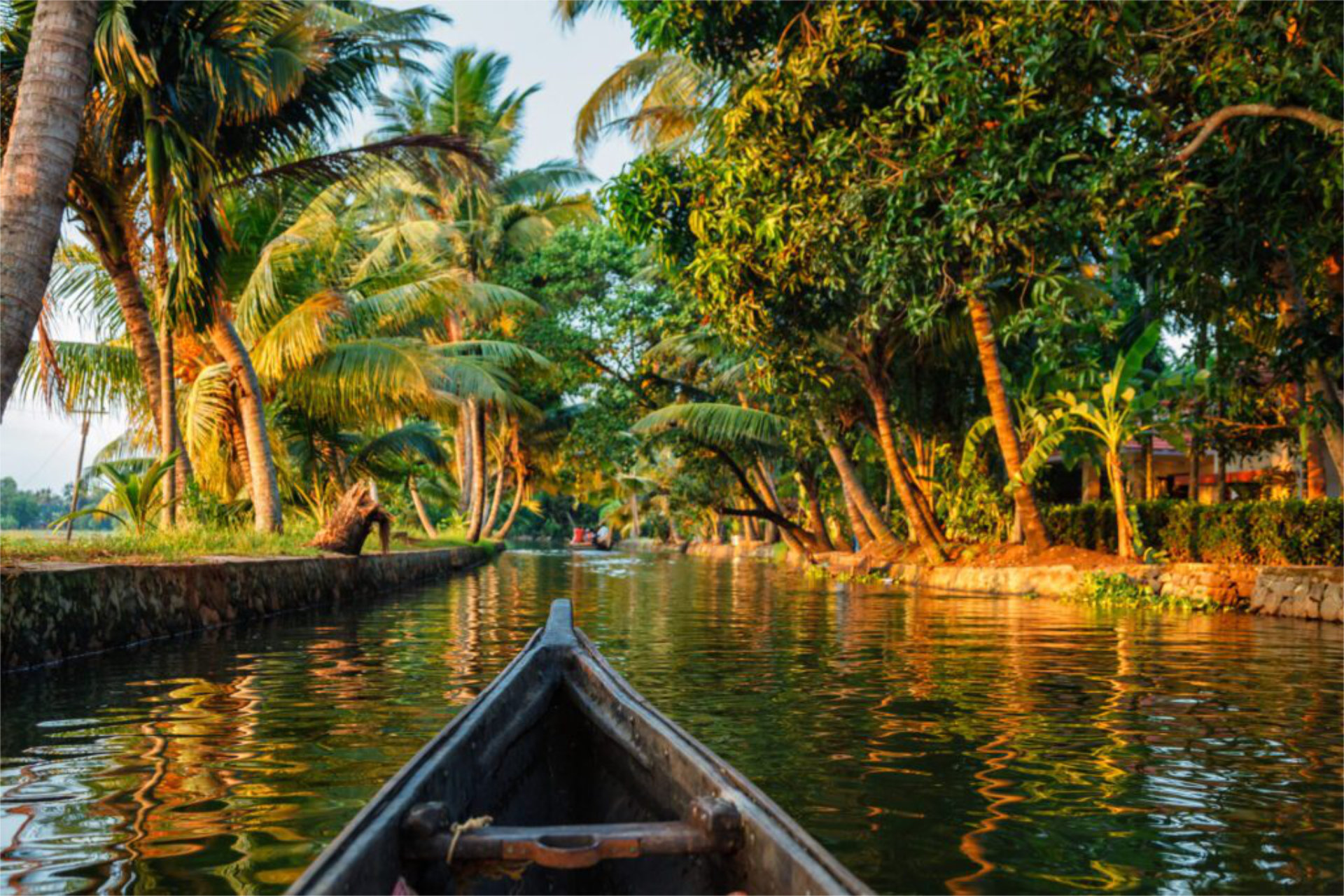 Palm-lined backwaters at sunset, viewed from a boat