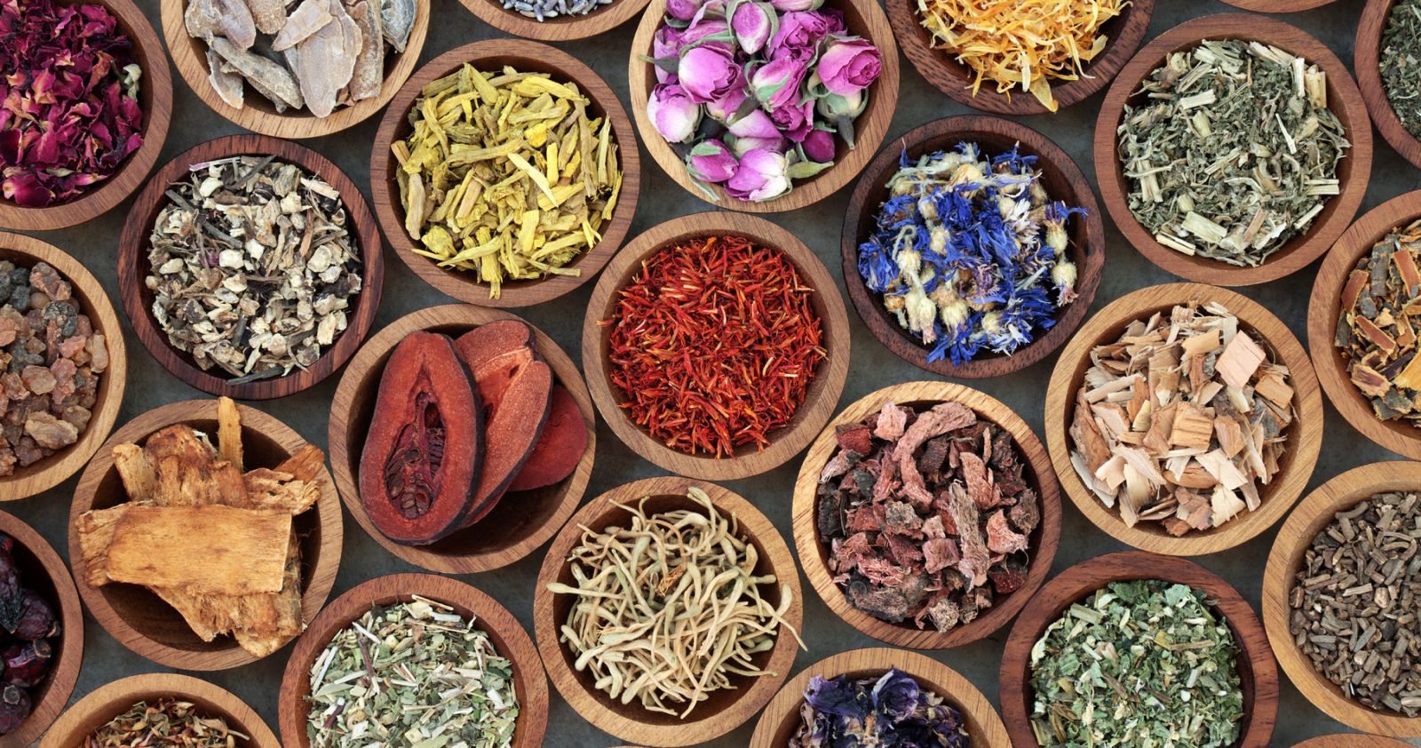 Foundations of Ayurveda