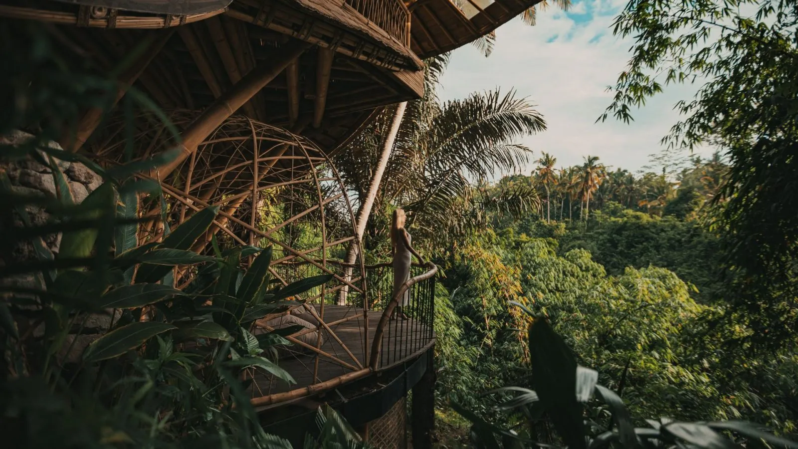 Bamboo balcony overlooking lush tropical forest